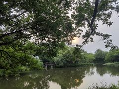 -西溪国家湿地公园