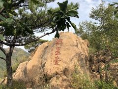 -遵化市禅林寺古银杏风景园