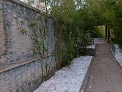 -南长河公园