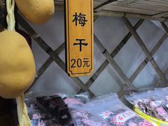 -苏州市吴中区光福窑上花果蜜饯厂