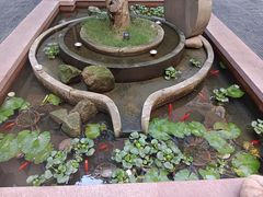 -南堂小馆·川菜馆(德商国际店)