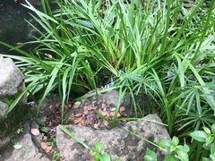 -南山植物园