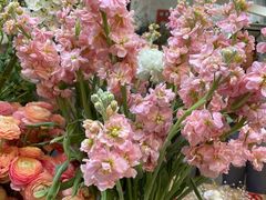 -循礼门鲜花花市(武汉循礼门店)