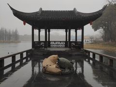 -尚湖风景区
