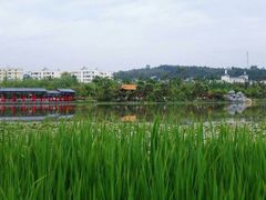 -洛龙公园
