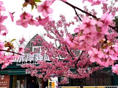 -新江湾城公园