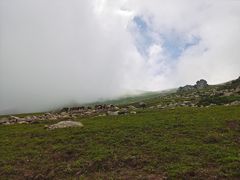 -灵山