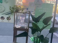 -自然之声助听器·呼吸机(康桥旗舰店)