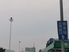 -双福水果批发市场
