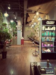 点击看大图 -M hair salon
