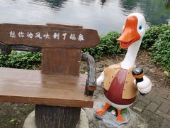 -靖西鹅泉风景区