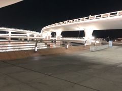 -演武大桥观景平台