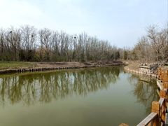 -塘沽森林公园