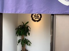 -极料理(普罗理想国店)