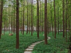 -河南省黄河迎宾馆