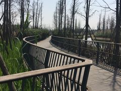 -白鹭湾湿地公园