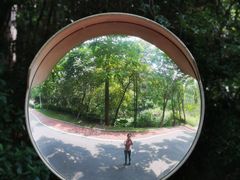 -火炉山森林公园