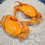 必吃顺德鱼生！你绝对不能错过的老字号！🌟