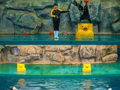 -威海华夏城景区