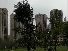 -府河摄影公园
