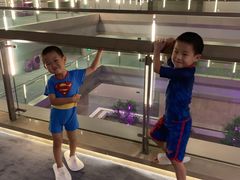 -南京禄口机场雅高铂尔曼大酒店