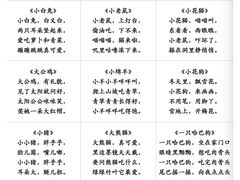 -澳洲袋鼠早教(南二环店)