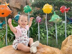 -三亚海昌梦幻海洋不夜城