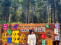 -汤旺河林海奇石景区
