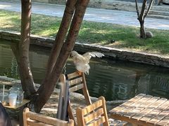 -春风习习