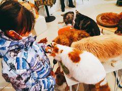 -平行世界·猫咖(首经贸店)