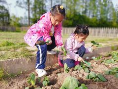 -前小桔亲子创意农场·草莓采摘·露营烧烤