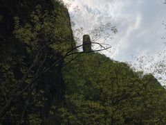 -野三坡百里峡景区