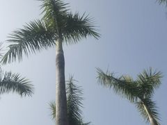 -厦门园林博览苑
