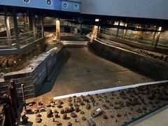 -元代水闸遗址博物馆