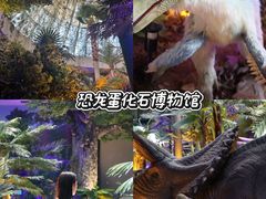 -中国西峡恐龙遗迹园
