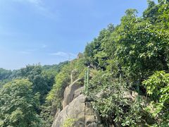 -南山植物园