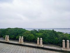 -霞山观海长廊