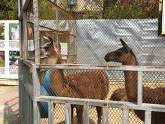 动物园-东湖公园