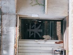 -来回·咖啡(天河南店)