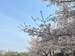 -堤角公园