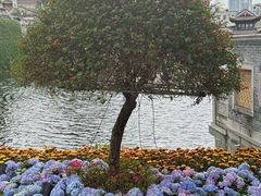-荔湾湖公园