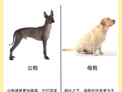 -萌兽医馆·犬猫专科·眼科中心·宠物医院(朝阳门分院)