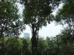 -唐城墙遗址公园