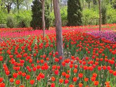 -廊坊文化艺术中心