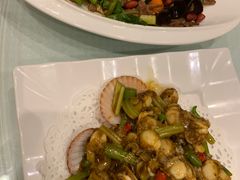 辣炒小扇贝-双井轩(双井店)
