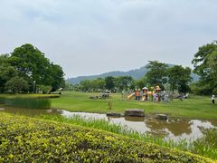 -径山花海