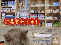-瑞派雷欧宠物医院·24h夜诊·心脏骨科牙科·全科重症转诊中心(无影山店)