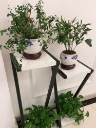 -香秀空间科技抗衰·美容中心