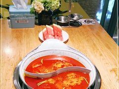 -青瓷火锅料理(西单大悦城店)