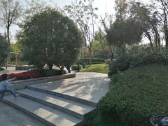-成飞公园